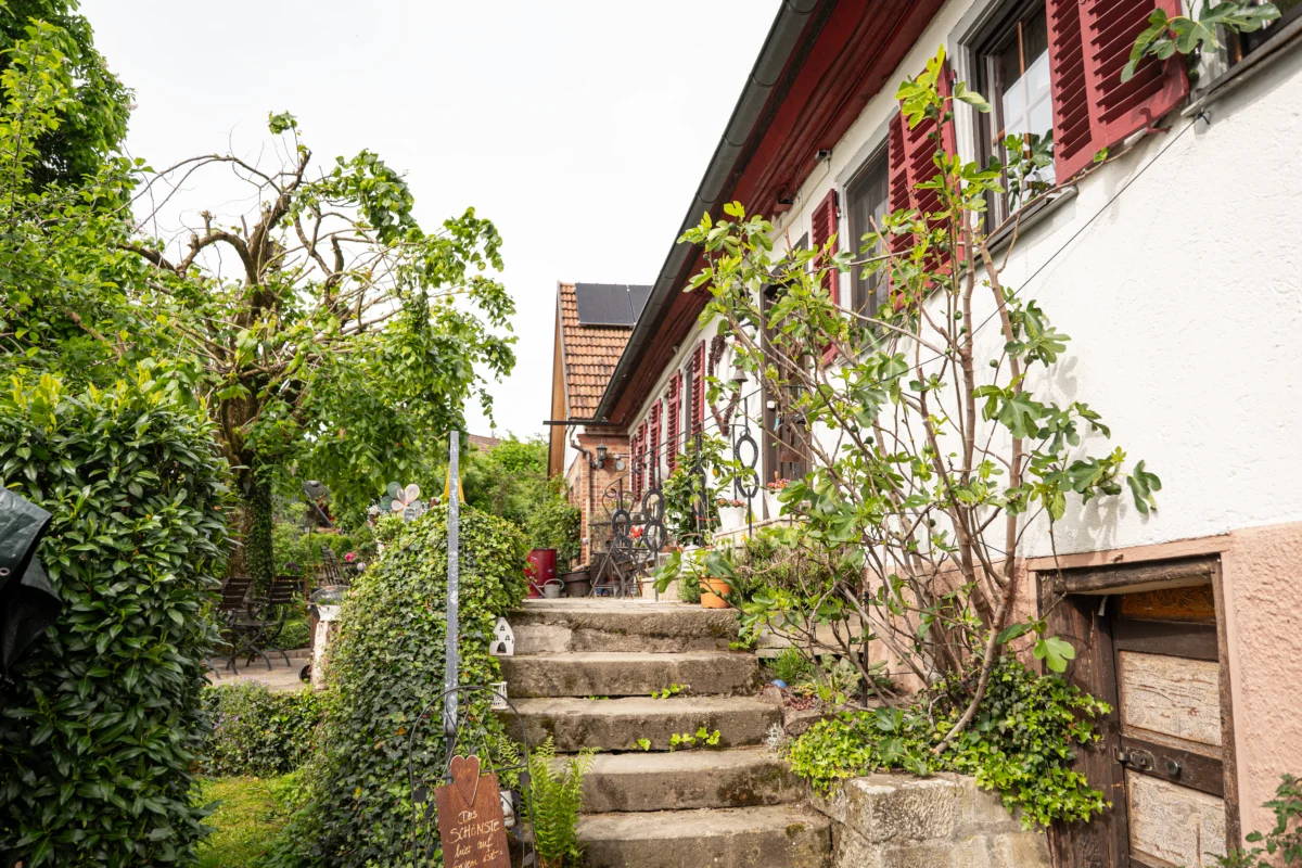 ZERO Architektur Projekte Fankhänel Impressionen Außenansicht Gartenanlage
